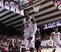 洛里昂主场对阵里尔